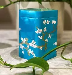 Teboks "Japan" turkis