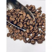 Nicaragua Maragogype