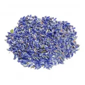 Lavendel