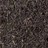 Darjeeling Himalaya