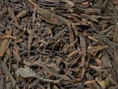 Økologisk svart Sencha