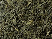 Sencha China økologisk
