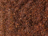 Rooibos Økologisk