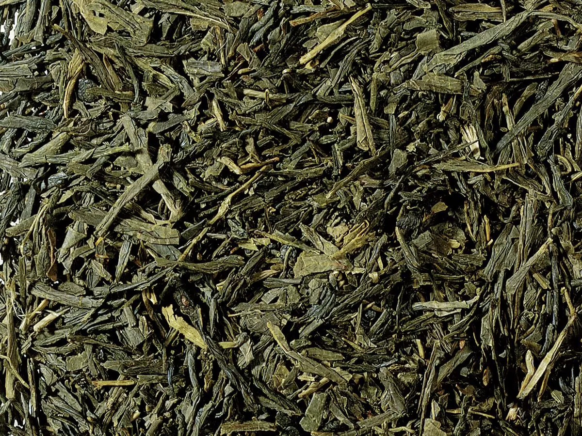 Sencha China Økologisk