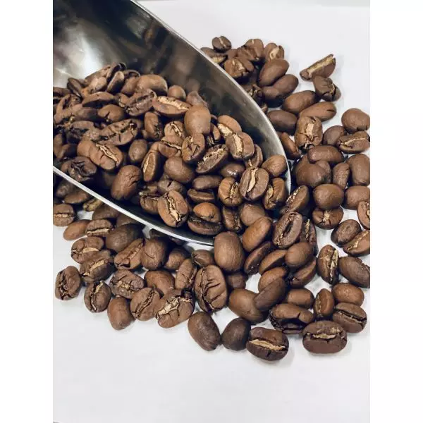 Nicaragua Maragogype