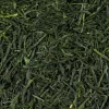 Shincha Tsuyuhikari