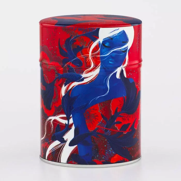 Washi teboks "Power Fish"