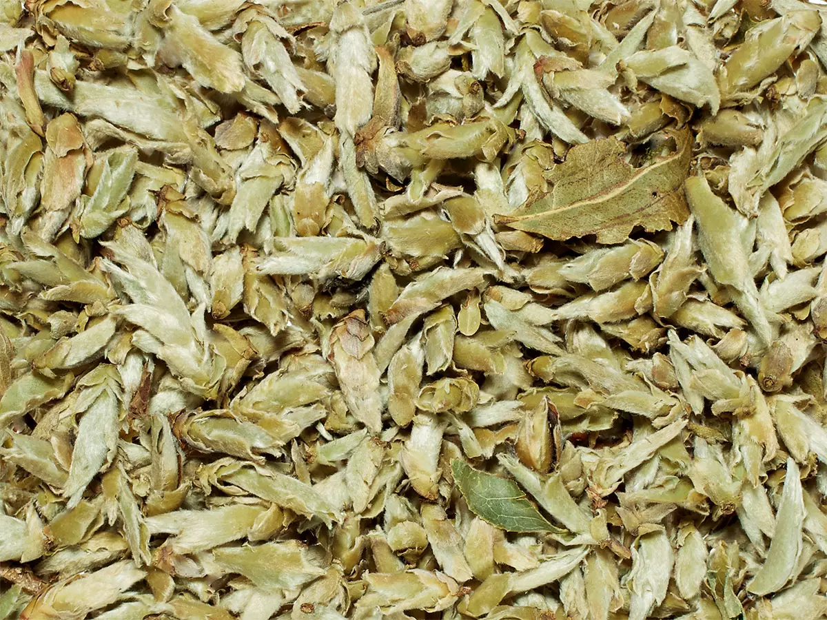 Yunnan Silver Bud Ya Bao