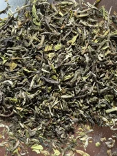 Samabeong First Flush Darjeeling 2026