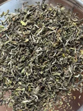 Seeyok First Flush Darjeeling 2026