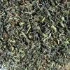 Selimbong First Flush Darjeeling 2026
