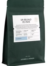 Un Regalo De Dios EKSKLUSIV
