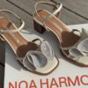 NOA HARMON - Curtis