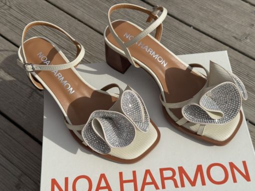 NOA HARMON - Curtis