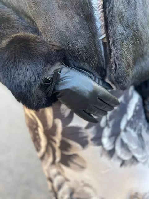 gallery-5284-for-599008