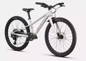 SPECIALIZED RIPROCK 24 INT Gloss Dolomite Metallic / Quartz Metallic