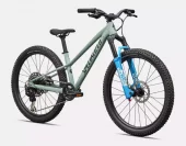 Specialized Riprock Comp 24 Gloss Agave Grey / Oak Green Metallic