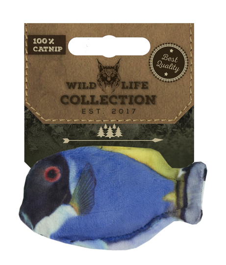 Wild Life Cat Blue Tang
