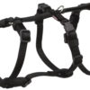 Hundesele Stay Nylon S/M Mage: 40-65cm/15mm Sort