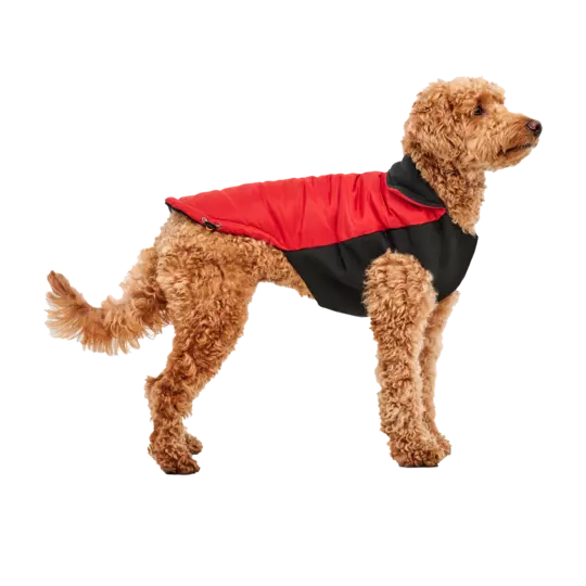 Goo-eez Mock Neck Signature Jacket Rød S