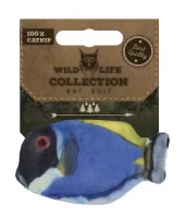 Wild Life Cat Blue Tang
