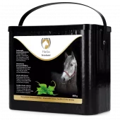 Excellent Herbs Brennesle 0,8 kg – Naturlig Støtte til Nyrefunksjon og Sirkulasjon