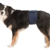 Magebelte Til Hannhund S/M 37-45cm Mørkeblå