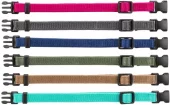 Halsb. Valpesett Junior 17-25cm S/M 6stk Fuchsia, Grafitt grå, Indigo, Forrest, Karamel, Ocean