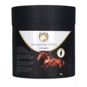 Excellent Horse Glukosamin + MSM 1 kg – For smidige ledd, sener og brusk