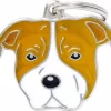MyFamily Friends, Amstaff