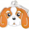 MyFamily Friends, Cavalier King Charles Spaniel
