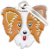 MyFamily Friends, Papillon