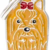 MyFamily Friends, Yorkshire terrier
