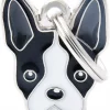 MyFamily Friends, Boston Terrier