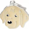 MyFamily Friends, Golden Retriever