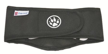 Trine Skvettlapp Nr.4 (38-43 cm)