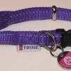 Trine Trygg Halsbånd Lilla L 25mm 42-70cm