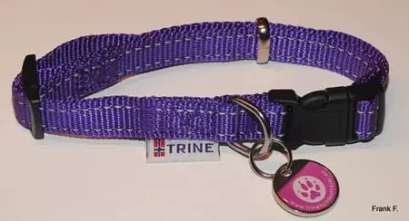 Trine Trygg Halsbånd Lilla L 25mm 42-70cm