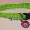 Trine Trygg Halsbånd Neon-Grønn L 25mm 42-70cm