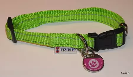 Trine Trygg Halsbånd Neon-Grønn L 25mm 42-70cm