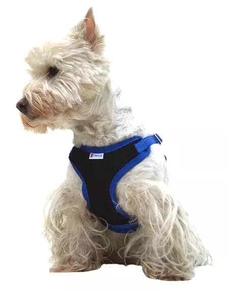 Trine Trygg Selevest Blå XS