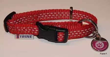 Trine Trygg Halsbånd Rød M 20mm 32-52cm