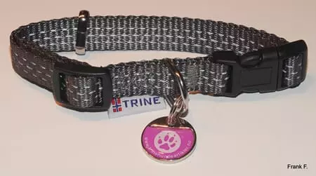 Trine Trygg Halsbånd Grå M 20mm 32-52cm