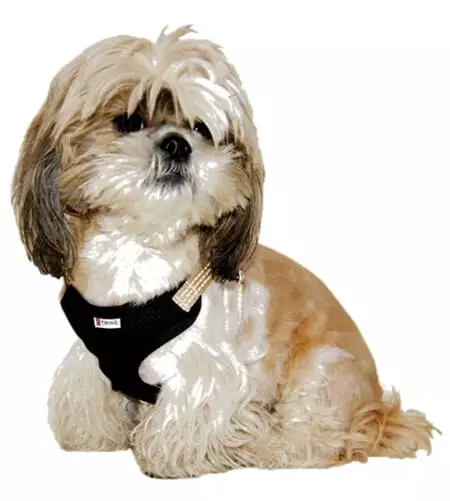 Trine Trygg Selevest Beige M