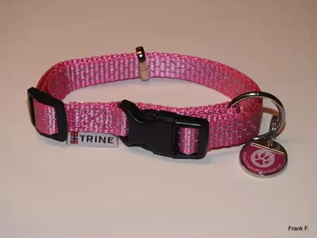 Trine Trygg Halsbånd Rosa L 25mm 42-70cm