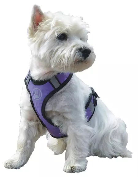 Trine Trygg Soft Sele Lilla S