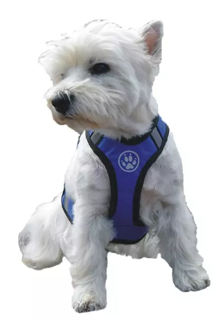 Trine Trygg Soft Sele Blå S