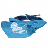 Cooling Bandana Small 40 x 28 cm