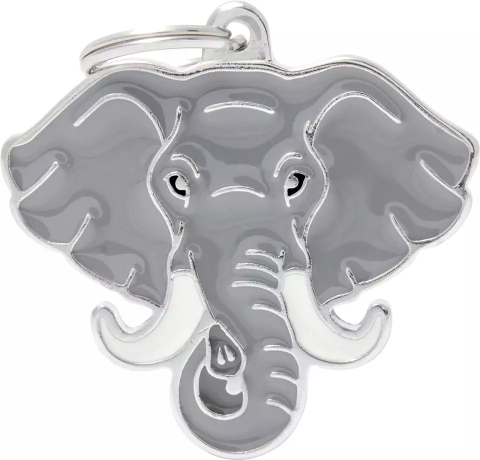 MyFamily Wild, elefant