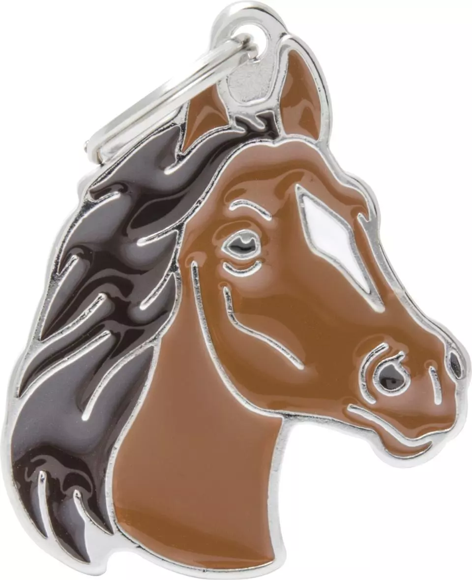 MyFamily Wild, hest brun